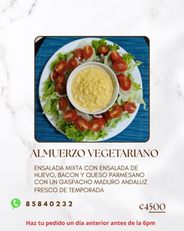 Almuerzo Vegetariano Ensalada Completa