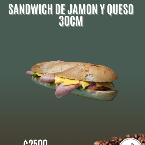 Sándwich de jamón y queso, 30cm