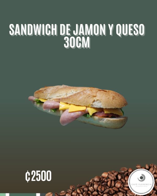 Sándwich de jamón y queso, 30cm