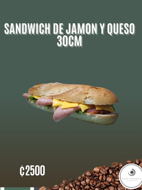 Sándwich de jamón y queso, 30cm
