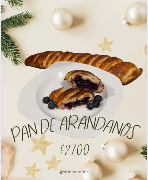 Pan de arándanos